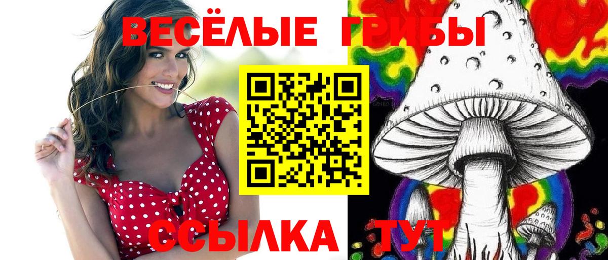 Галлюциногенные грибы мухоморы  Псилоцибиновые грибы GOLDEN TEACHER  Домодедово  Вход с VPN 